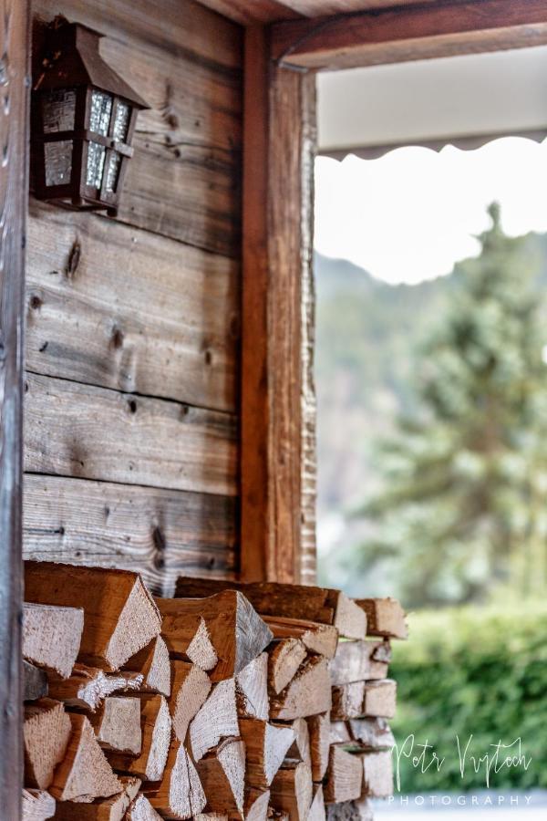 Chalet Camomille Les Gets Εξωτερικό φωτογραφία