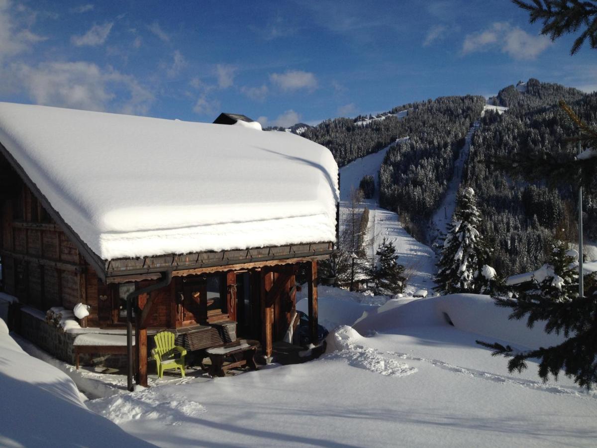 Chalet Camomille Les Gets Εξωτερικό φωτογραφία